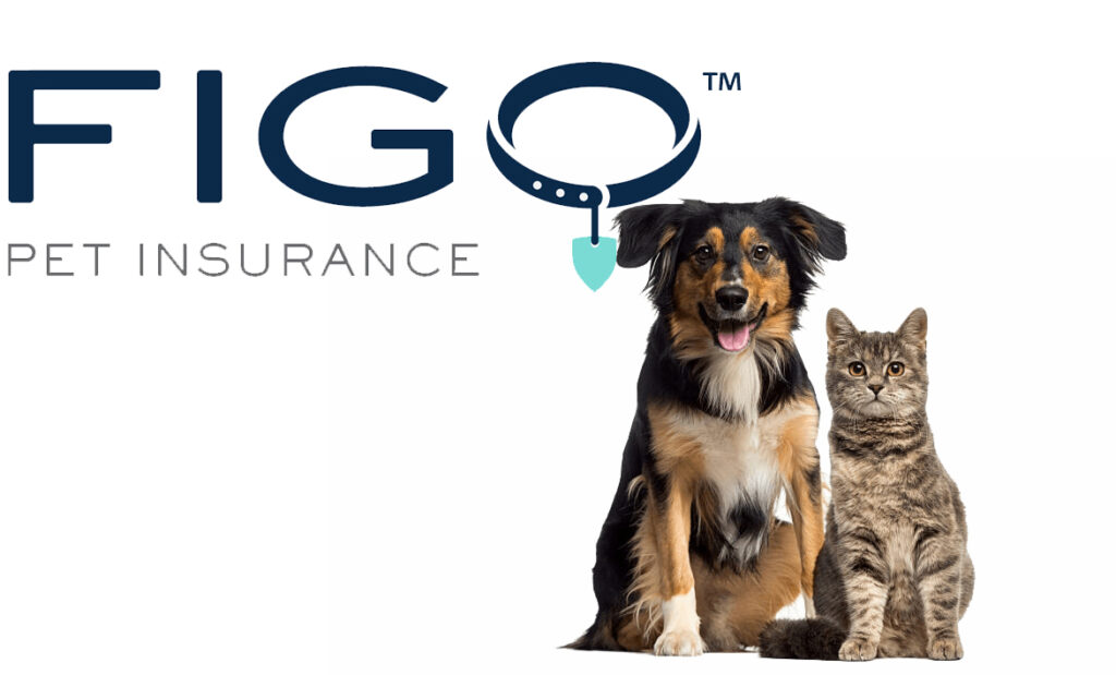 Figo Pet Insurance - Get A Quote For Your Pet