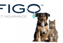 Figo Pet Insurance - Get A Quote For Your Pet