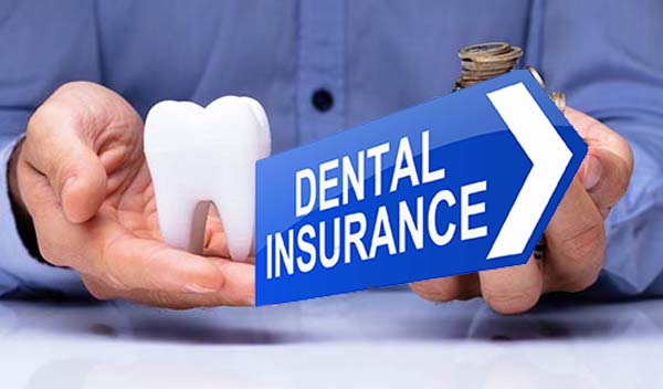 Best Dental Insurance Companies in 2024 