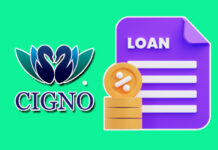 Cigno Loans - Short-Term Cash Advances Up to $1,000