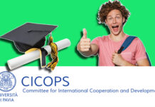 CICOPS Scholarships For Researchers 