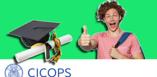 CICOPS Scholarships For Researchers 