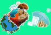 Climate Risk Insurance