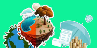 Climate Risk Insurance